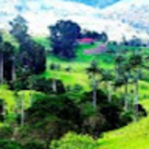 Meet your Posher, Gina